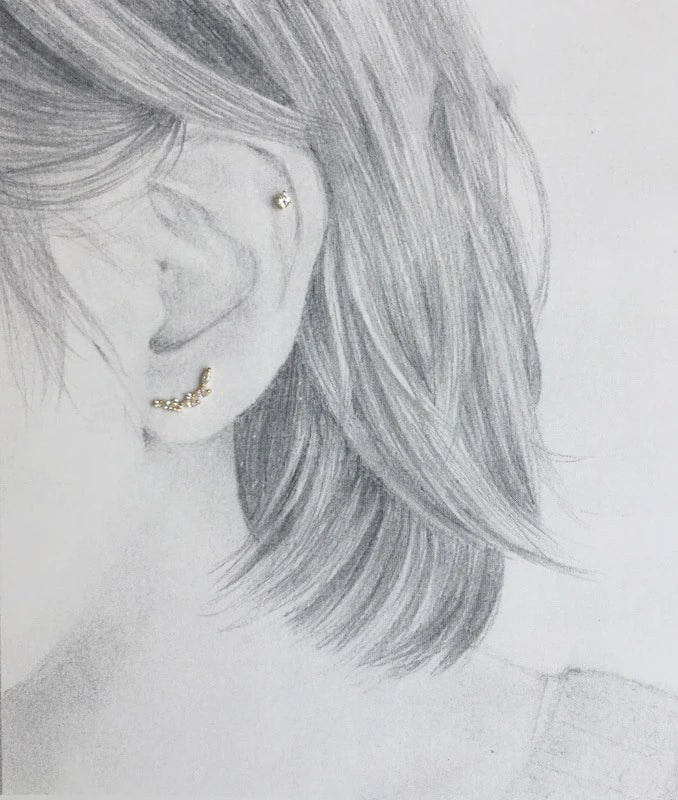 LUXE Real 925 Sterling Silver Ziron Leaves Stud 14K Gold Earrings For Women Hiphop Fine Jewelry Accessories Drop shipping