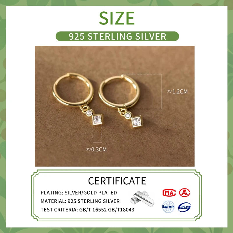 LUXE Real 925 Sterling Silver Zircon Hoop Earrings For Fashion Women Punk Fine Jewelry 18k Gold Accessories